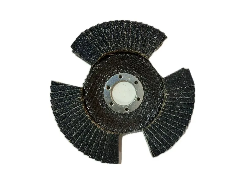 See-through Flap Disc