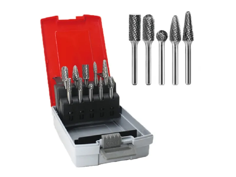 10Pcs Carbide Burr Set