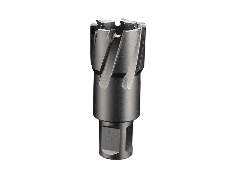 Carbide Core Drill Bit